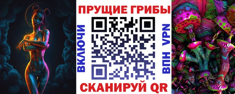 закладка  Балабаново  Псилоцибиновые грибы Magic Shrooms 